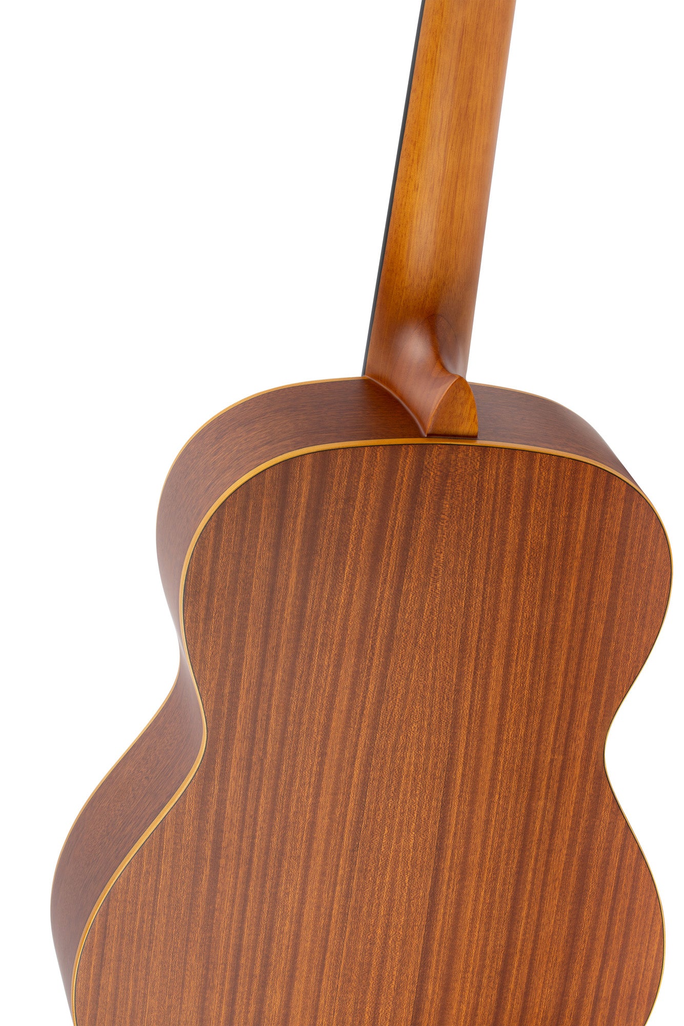 R121-7/8, table épicéa, fond & éclisses acajou, manche acajou (sillet 45 mm), housse, naturel satiné