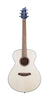 Breedlove Discovery S Concert