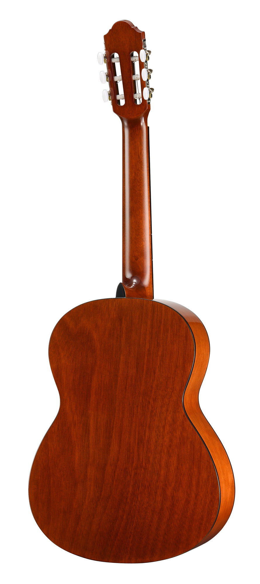 N350W, 4/4, table épicéa, fond et éclisses acajou, naturel brillant