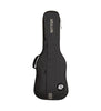 Ritter Electric Grey Cover