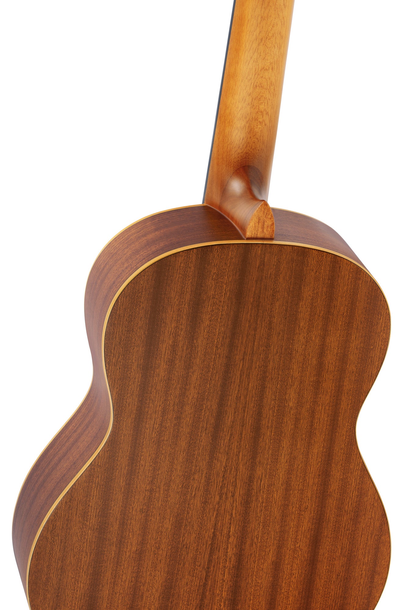 R121, table épicéa, fond & éclisses acajou, manche acajou, sillet 52 mm, housse, naturel satiné