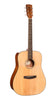 Cort Earth 60