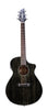Breedlove Rainforest S Concert Black Gold