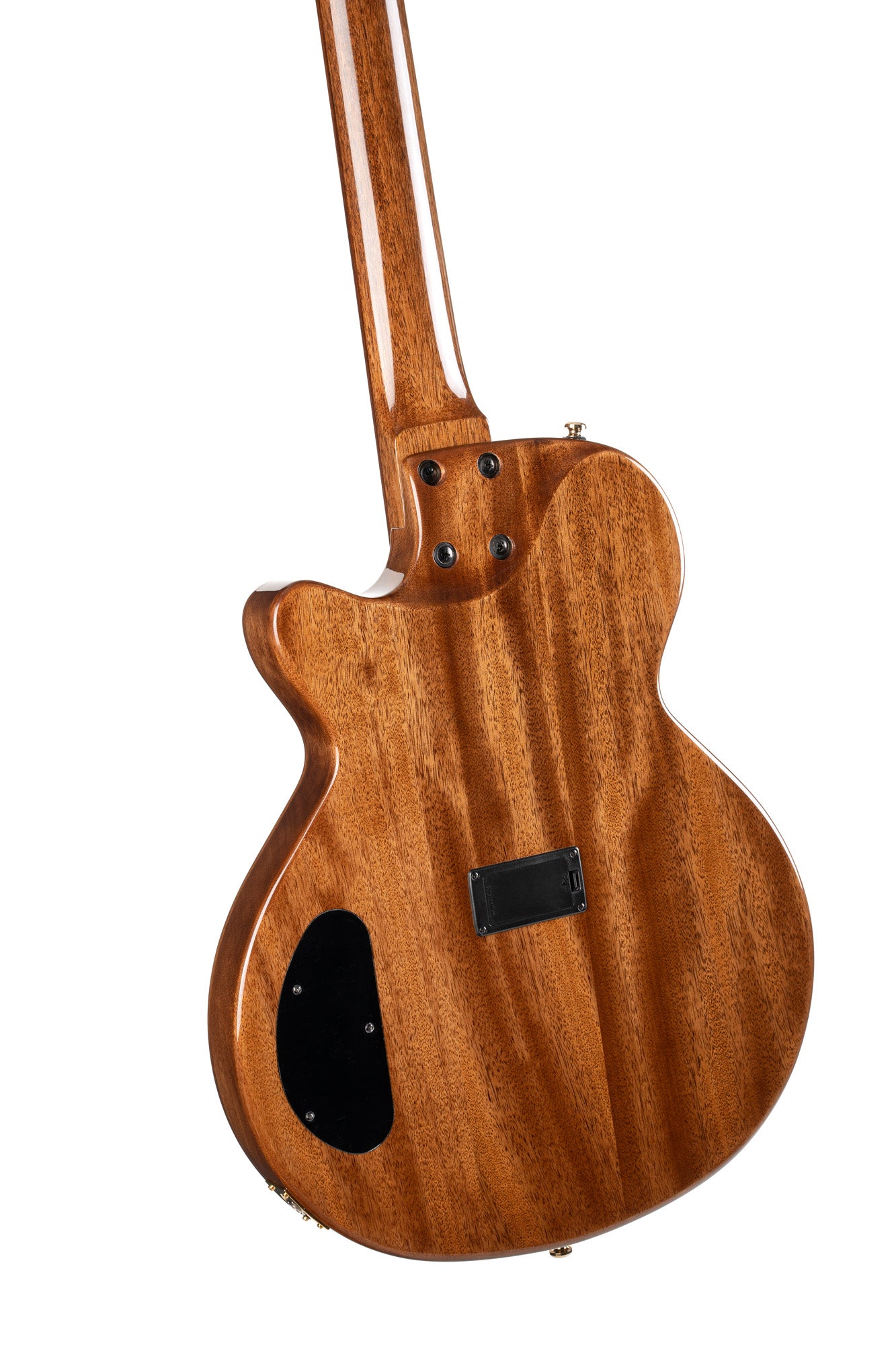 SUNSET NYLECTRIC DLX, table épicéa avec placage érable flammé, corps acajou chambré, EQ Fishman VTB, housse, tobacco sunburst