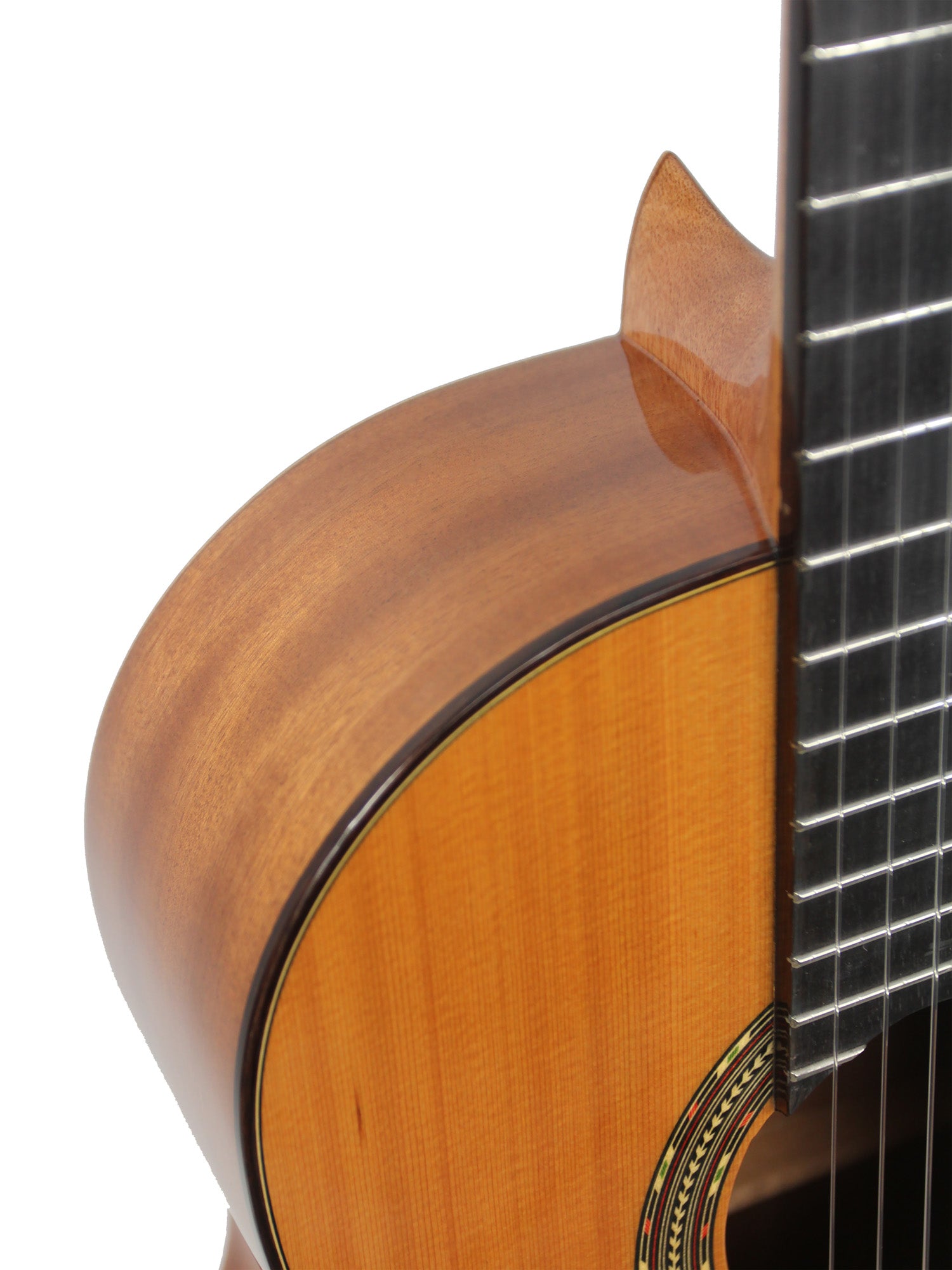 4ST, table cèdre massif, fond & éclisses acajou, manche acajou, touche palissandre, naturel brillant, modèle gaucher