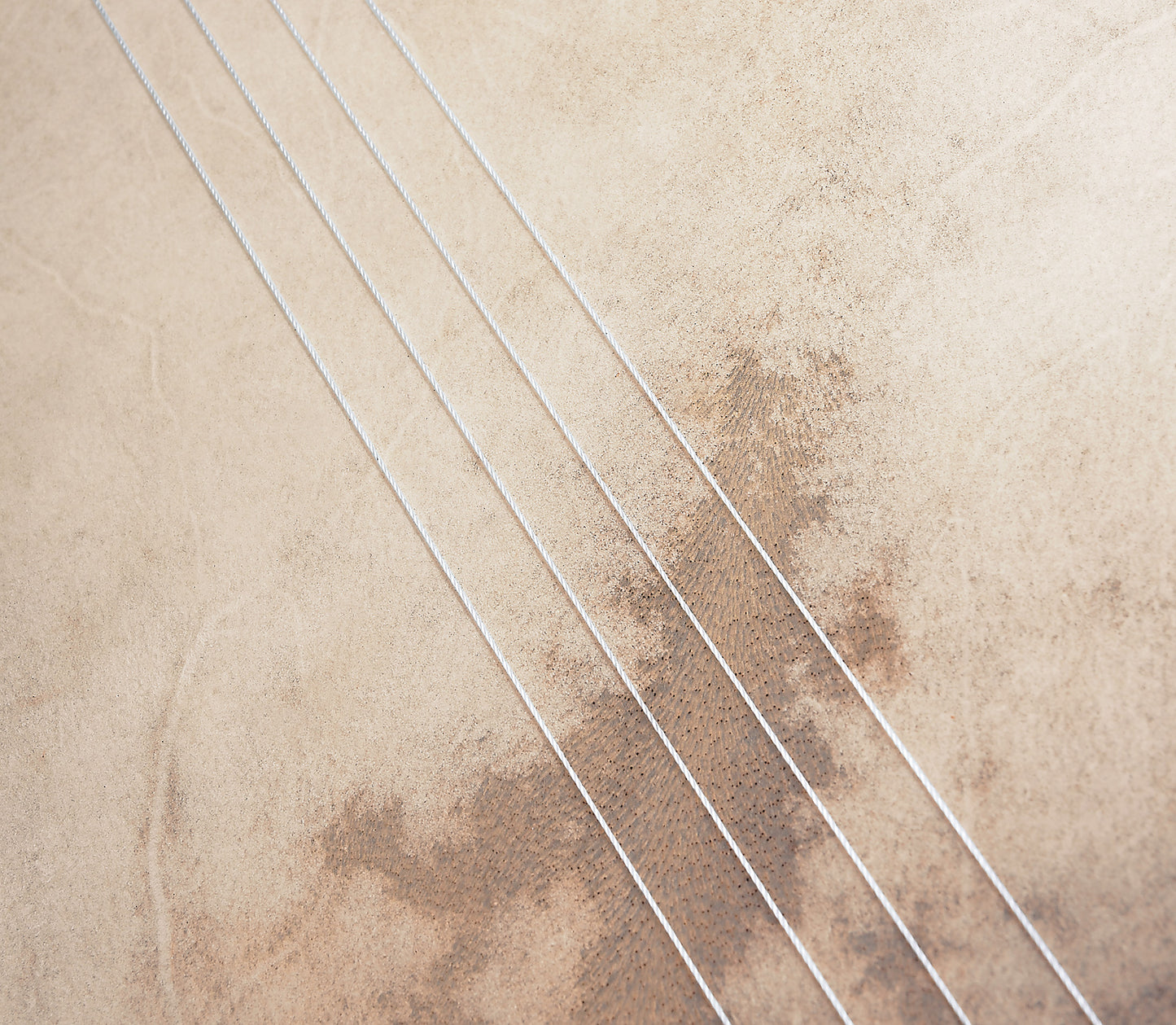 Bendir 16 x 2.5", corps en hévéa, peau de chèvre sélectionnée à la main, timbre et système d'accordage internes, African Brown