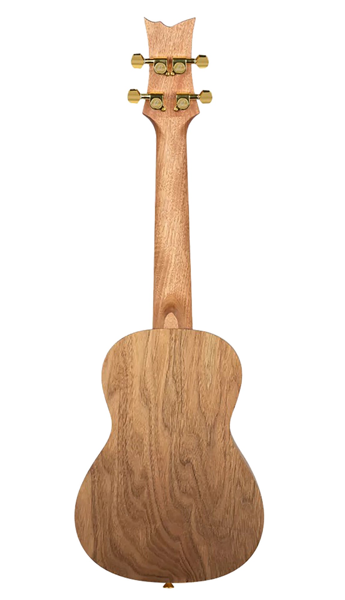 RUAR-BI, modèle Concert, table épicéa avec motif custom, fond & éclisses catalpa, manche nato, motif"oiseaux" satiné