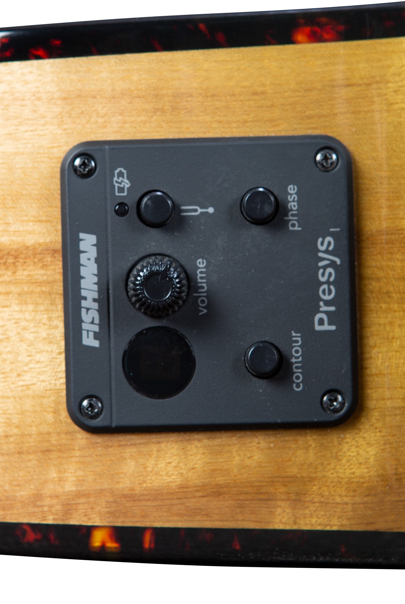 PURSUIT EXOTIC S CONCERT SWEETGRASS CE, table myrtlewood massif, f/e myrtlewood, EQ Fishman Presys I, sweetgrass