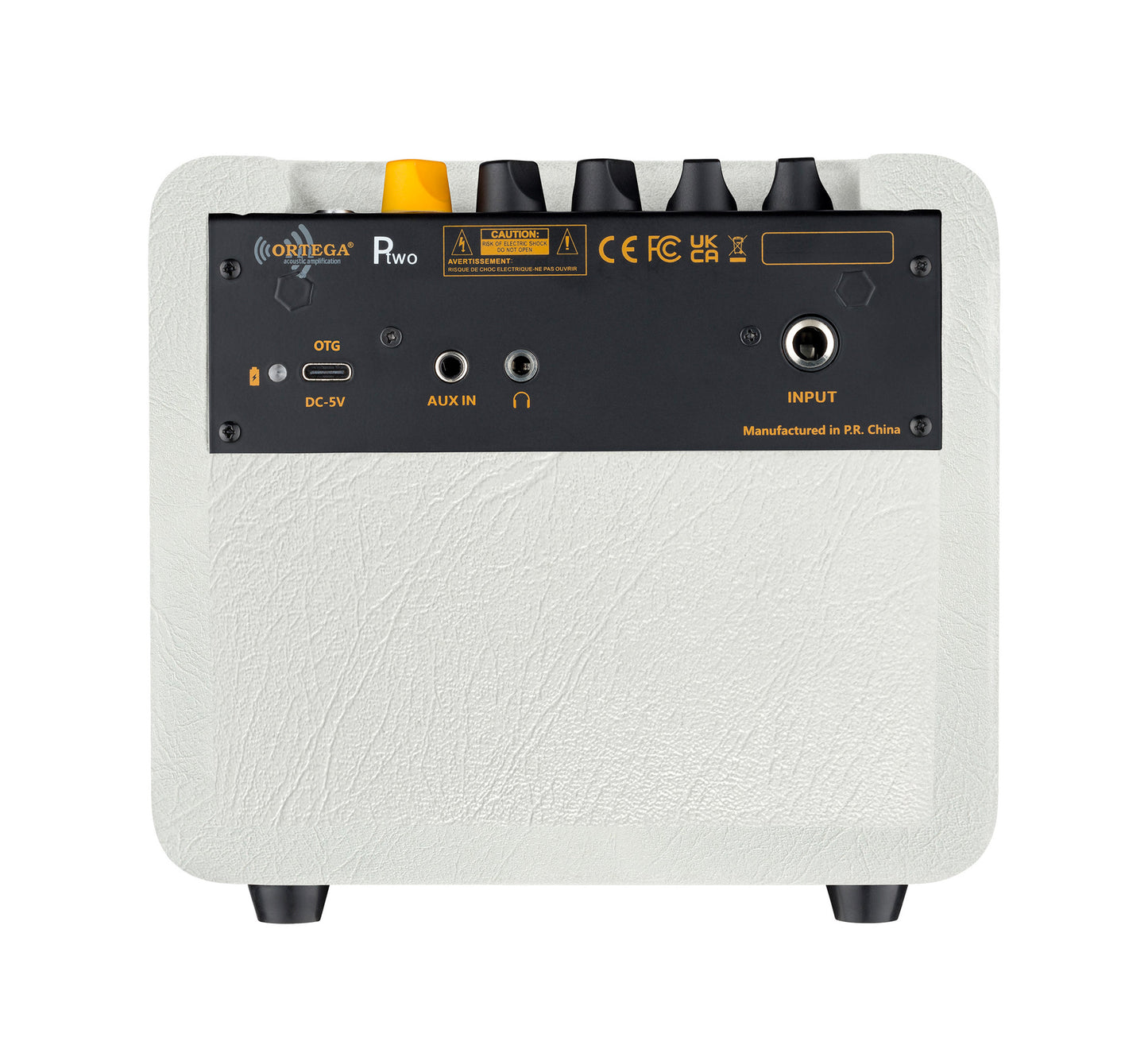 PTWO-LTD, ampli combo guitare acoustique 12W, Streaming Bluetooth, sortie casque, delay, reverb & chorus intégrés, simili cuir