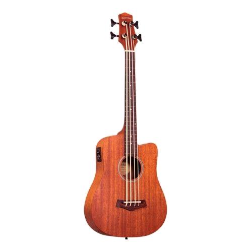 gold tone electro-acoustic bass M-BASS/FL
