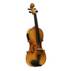 Stagg VN-4/4 ELEC Electric Violin, Solid Maple, with Soft Case