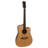 freshman guitar folk SONGDCERW dreadnought electro natural