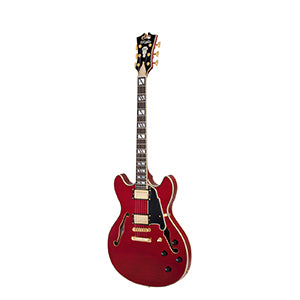 D'ANGELICO Excel DC Trans Cherry 