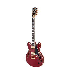 D'ANGELICO Excel Mini DC Trans Cherry