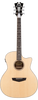 D'ANGELICO Premier Gramercy LS Satin Vint Nat