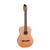 Godin Etude RN