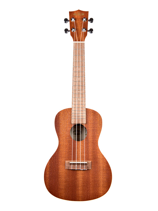 Satin Mahogany, Concert