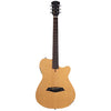 Larry Carlton G5A NT.S