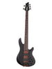 Schecter Charles Berthoud CB-5 - See-Through Black Satin