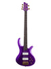 Schecter FreeZesicle-5, The Freeze signature – Purple