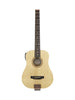 Traveler AG-105 EQ, acoustic, Shadow pickup and preamp