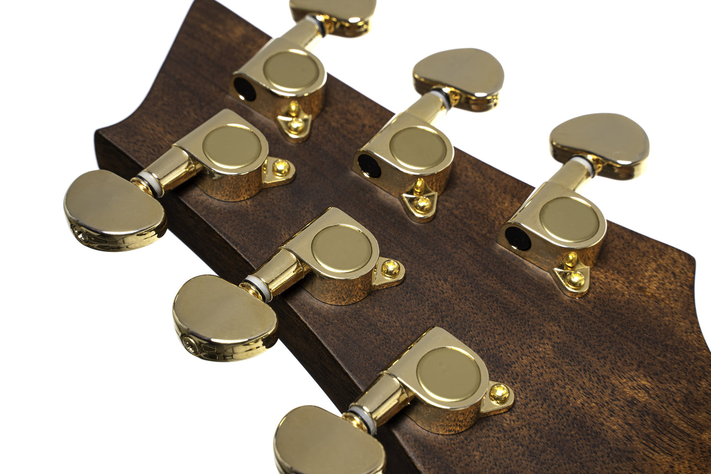 LUXE II, Frank Gambale Signature, forme Concert, table épicéa massif, f/e blackwood flammé, EQ Fishman, naturel brillant