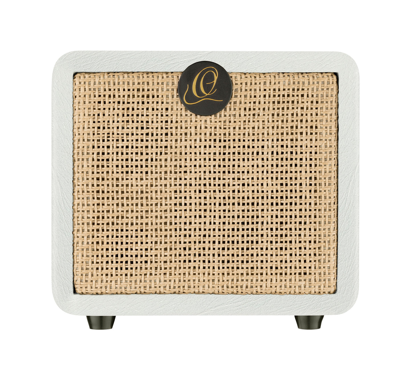 PTWO-LTD, ampli combo guitare acoustique 12W, Streaming Bluetooth, sortie casque, delay, reverb & chorus intégrés, simili cuir