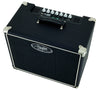 Hayden MTMOFO5 tube combo amplifier