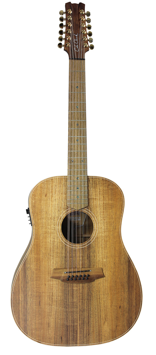 Fat Lady 2, Dreadnought, EQ 3 voix PG3, table blackwood massif, f/e blackwood massif, modèle 12 cordes, étui tweed