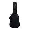 Ritter Black Electric Case