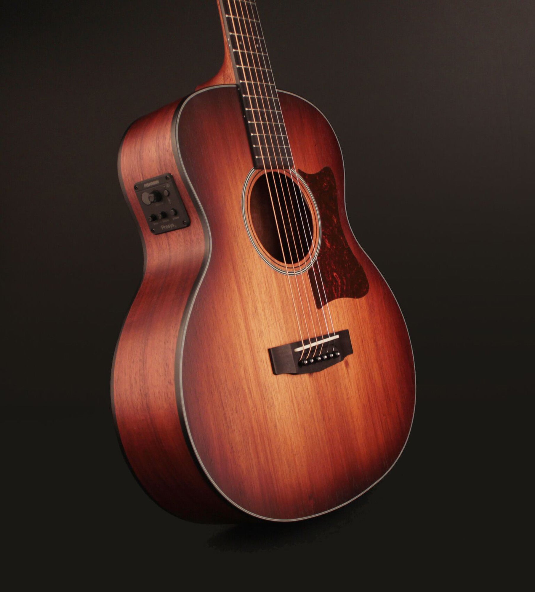 Little CJ Blackwood, forme Jumbo 3/4, table blackwood massif, f/e blackwood, EQ Fishman Presys II, light burst pores ouverts