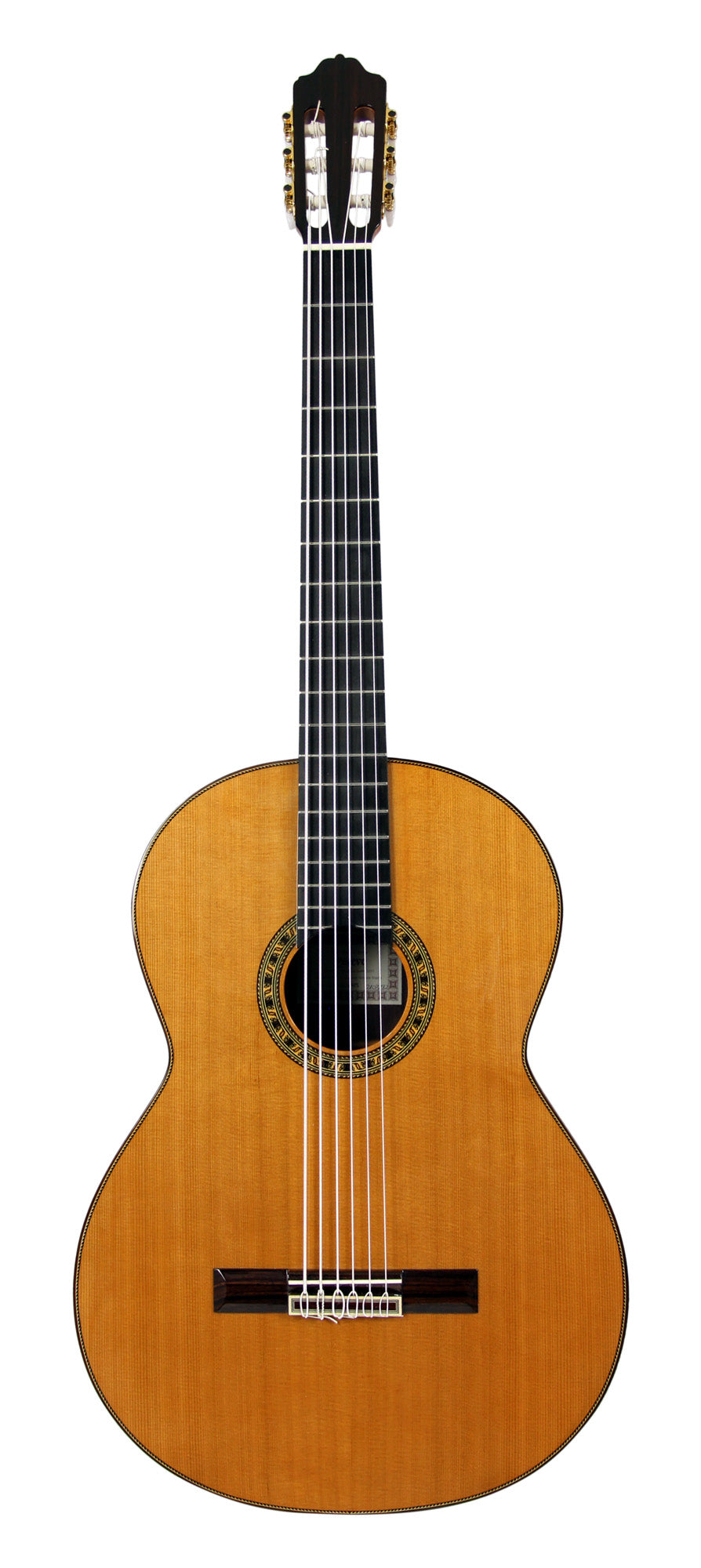 Octave Bass 6, basse 6 cordes, table cèdre massif, fond et éclisses palissandre indien, touche ébène, corde vibrante 75 cm