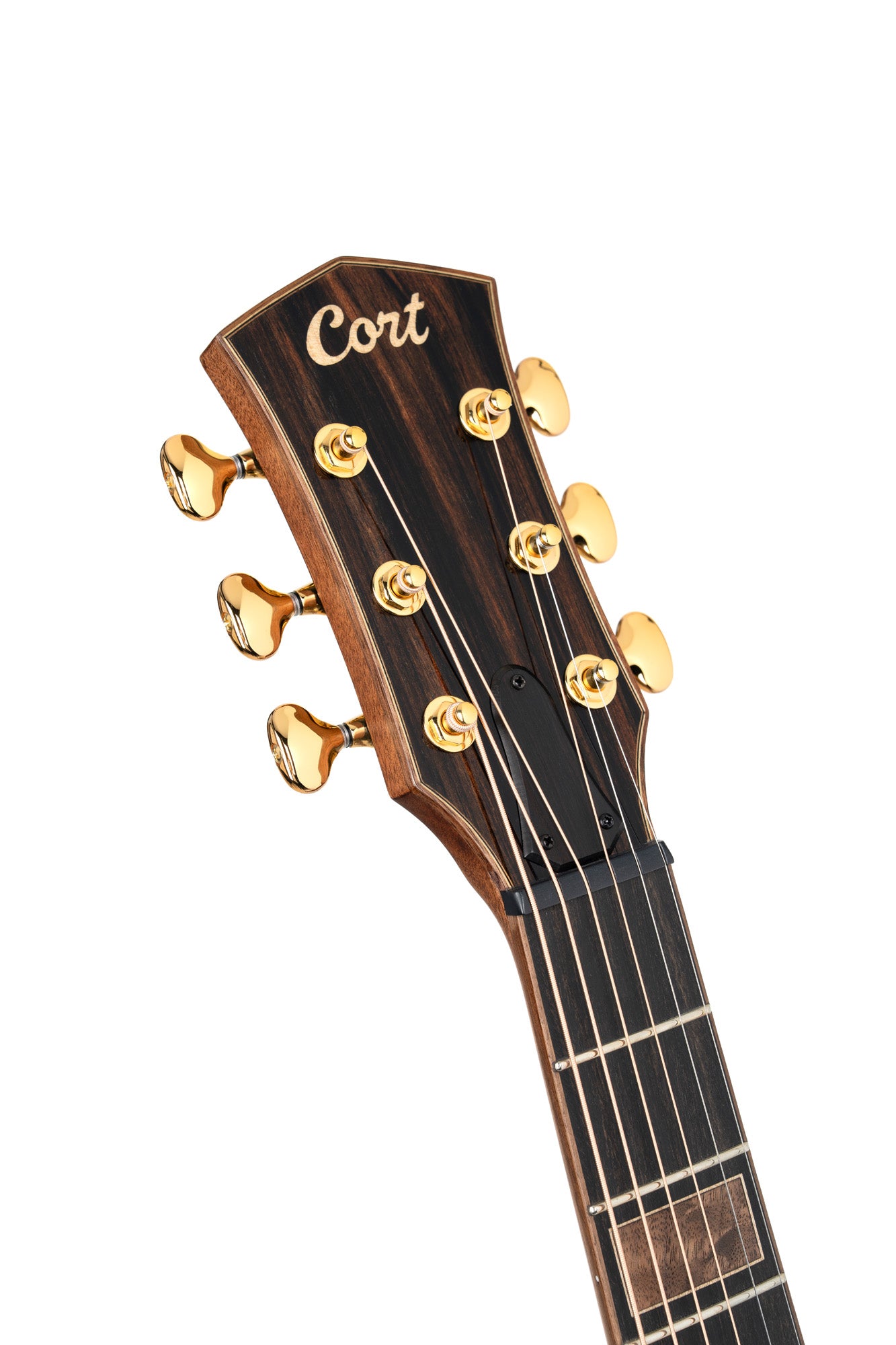 GUITARE CORT MODERN BURGUNDY TBD