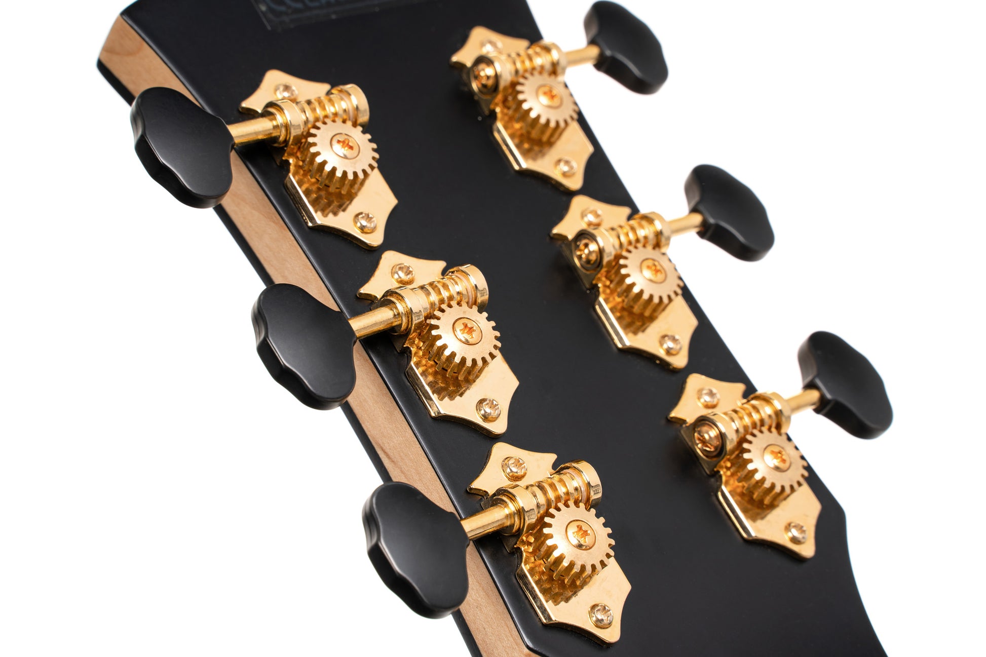 GOLD-PASSION, forme Concert, table épicéa massif torréfié, f/e érable flammé massif AAA, EQ LR Baggs, naturel brillant, étui