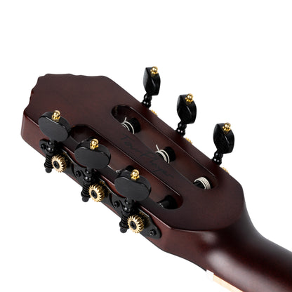 RTPDLX-ACA, modèle TourPlayer, EQ Magus X, corps okoumé, table acacia, sillet 48 mm, housse, dégradé brillant