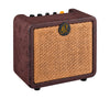 Ortega PTWO 12W acoustic amplifier