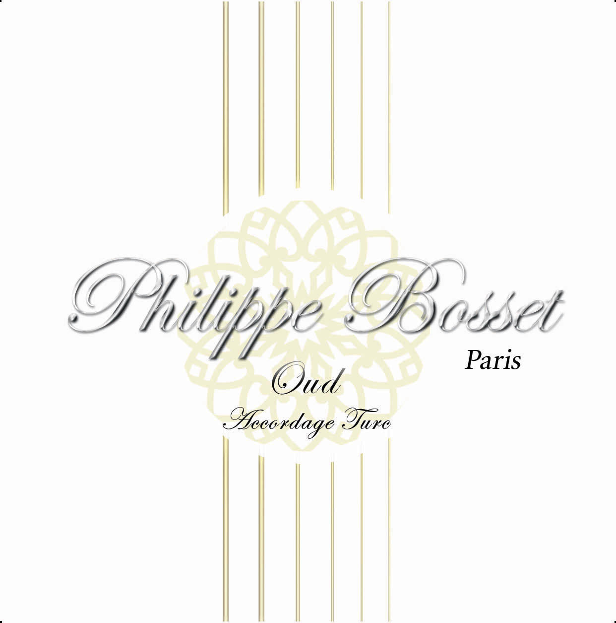 Jeu de cordes pour oud (22-28-25w-28w-32w-41w-22-28-25w-28w-32w), accordage turc, argent & nylon clair