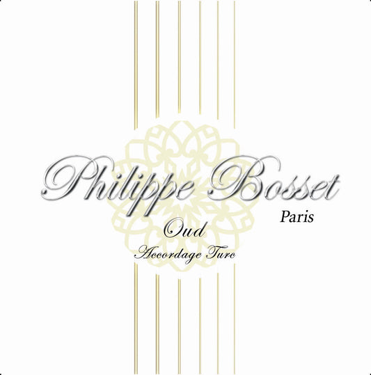 Jeu de cordes pour oud (22-28-25w-28w-32w-41w-22-28-25w-28w-32w), accordage turc, argent & nylon clair