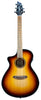 Breedlove Discovery S Concert CE Edgeburst LH