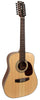 Cort EARTH70 12-String