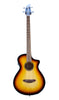 Breedlove Discovery S Concert Edge Basse