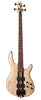 CORT A4 ULTRA FRENETTED BASS WITH FISHMAN MICRO MAGNETICS