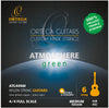 Ortega ATG44NM string set