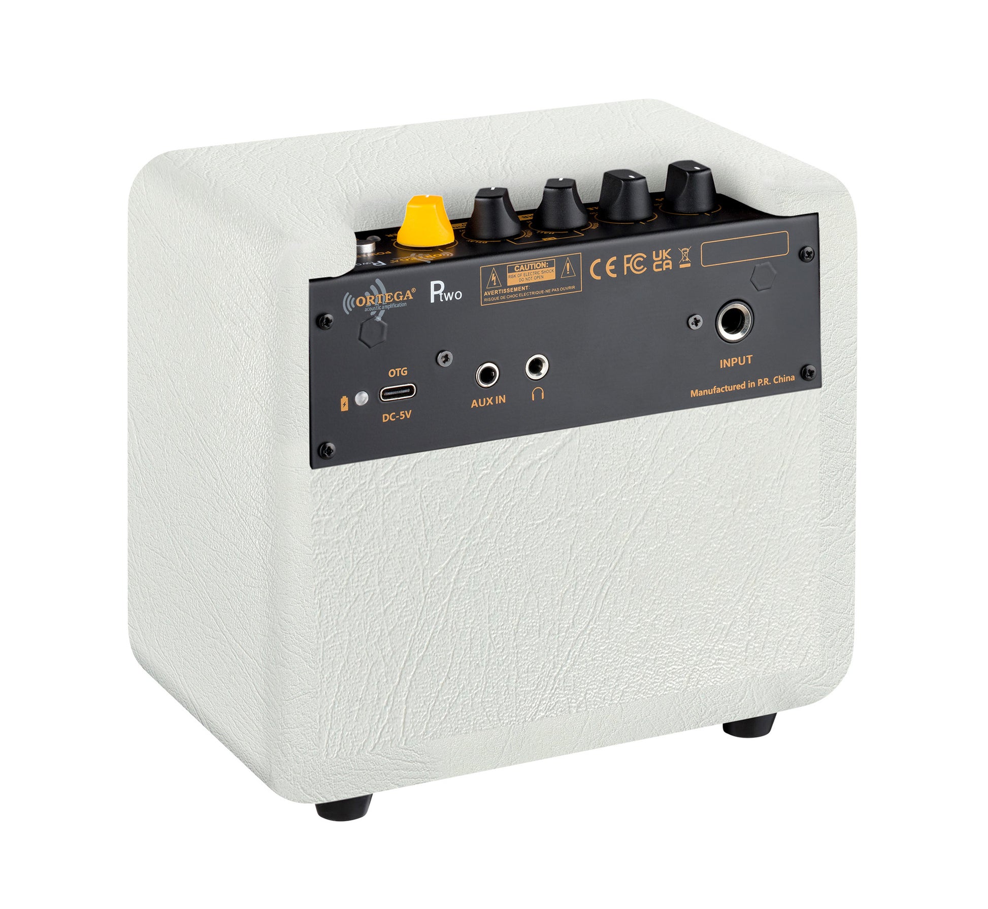 PTWO-LTD, ampli combo guitare acoustique 12W, Streaming Bluetooth, sortie casque, delay, reverb & chorus intégrés, simili cuir