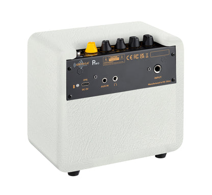 PTWO-LTD, ampli combo guitare acoustique 12W, Streaming Bluetooth, sortie casque, delay, reverb & chorus intégrés, simili cuir