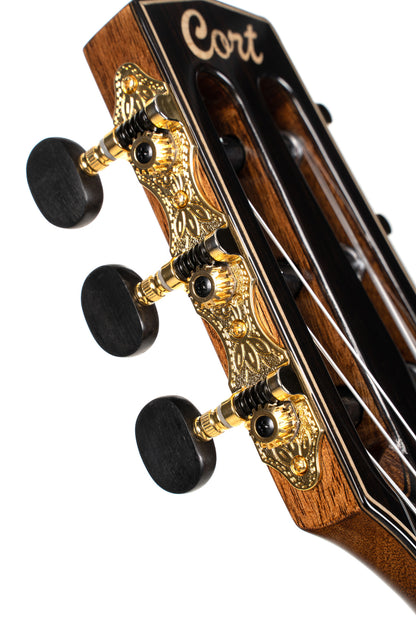 SUNSET NYLECTRIC DLX, table épicéa avec placage érable flammé, corps acajou chambré, EQ Fishman VTB, housse, tobacco sunburst