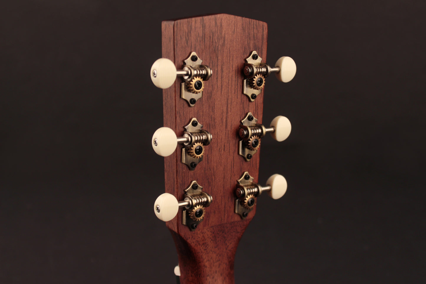 Earth 100SS, modèle Slope Shoulder, table épicéa Sitka massif, f/e acajou, EQ Fishman Sonitone, sunburst