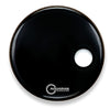 Aquarian Skin RSM22BK