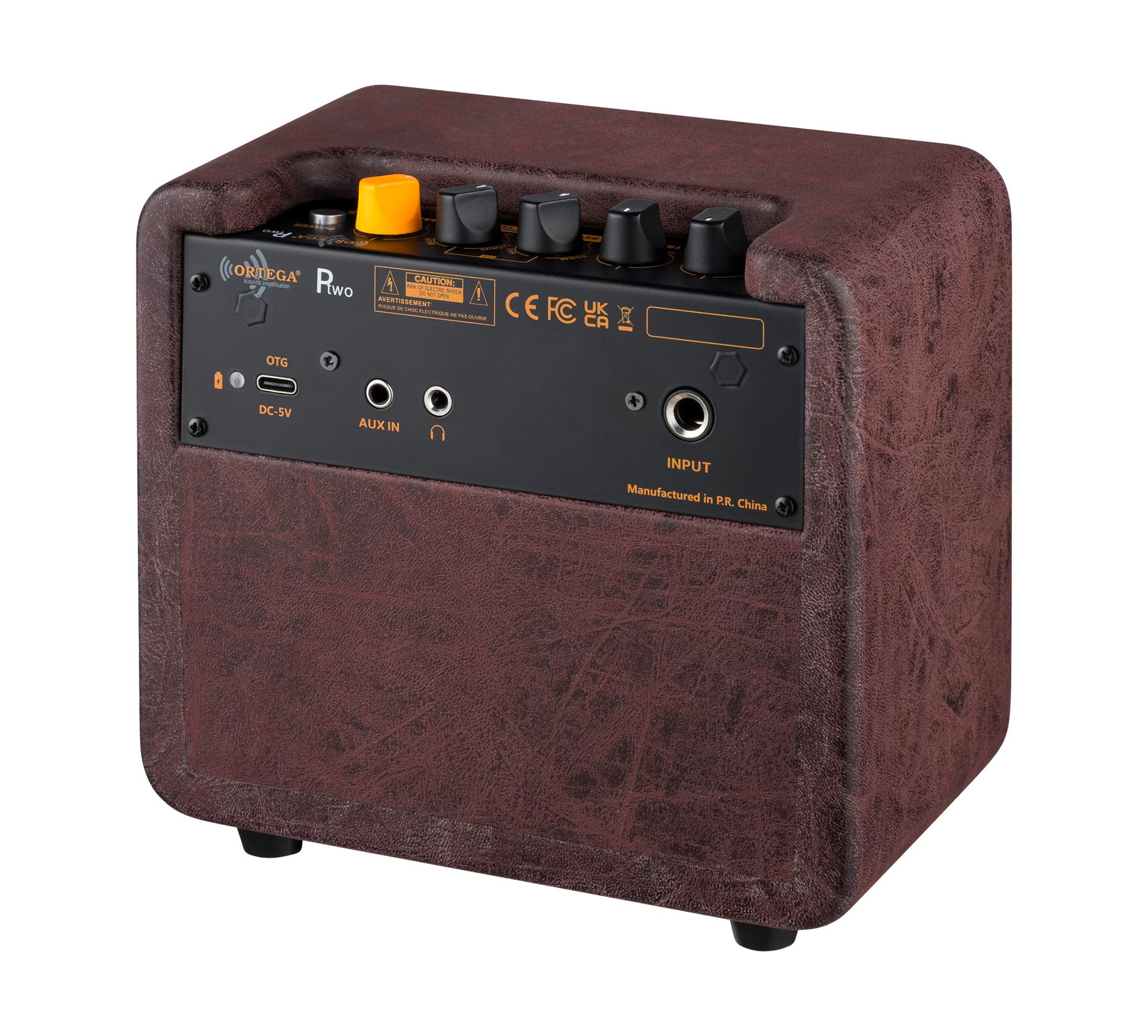 PTWO, ampli combo guitare acoustique 12W,Streaming Bluetooth, sortie casque,delay, reverb & chorus intégrés, simili cuir premium
