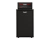 Laney IRF-DUALR-212 Rig: IRF-Dualtop and 2X12